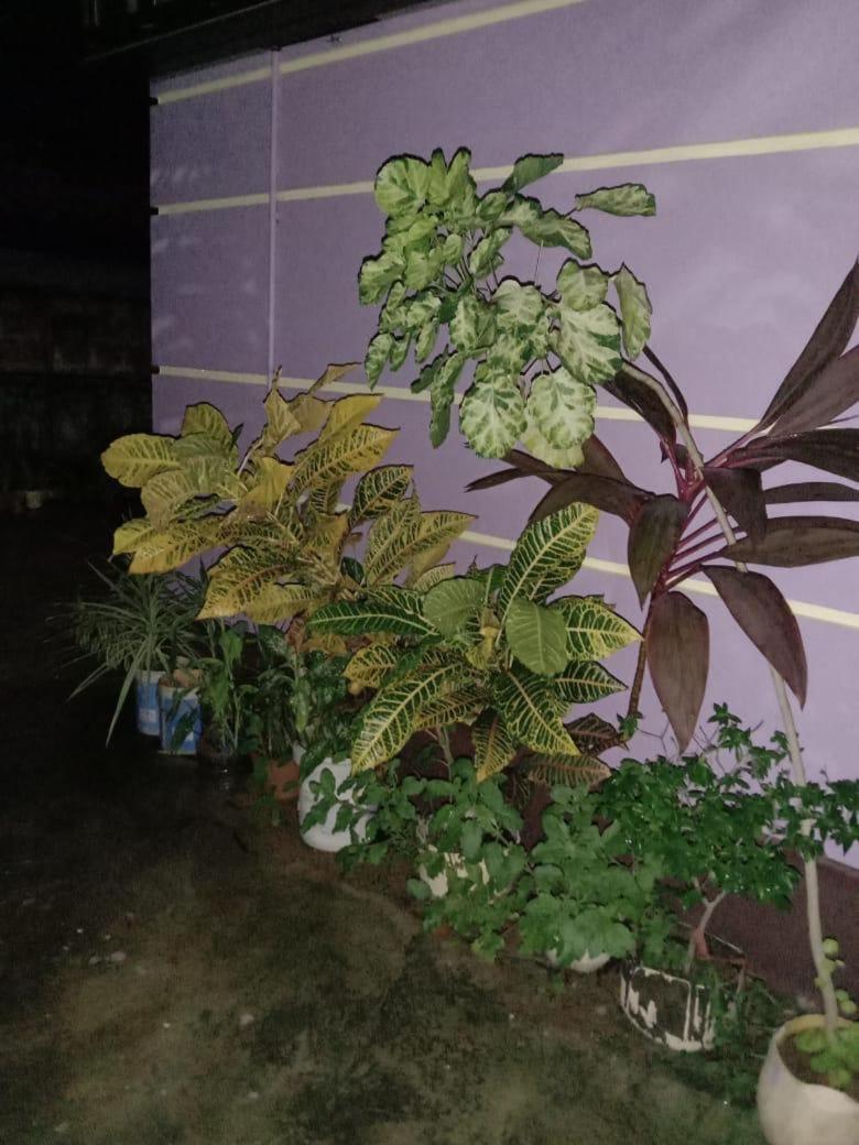 Vian Homestay Honāvar 外观 照片